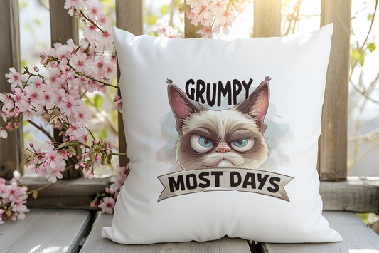 Super Soft Animal Cushion - Grumpy Most Days